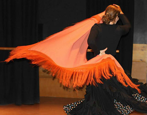 flamenco danza